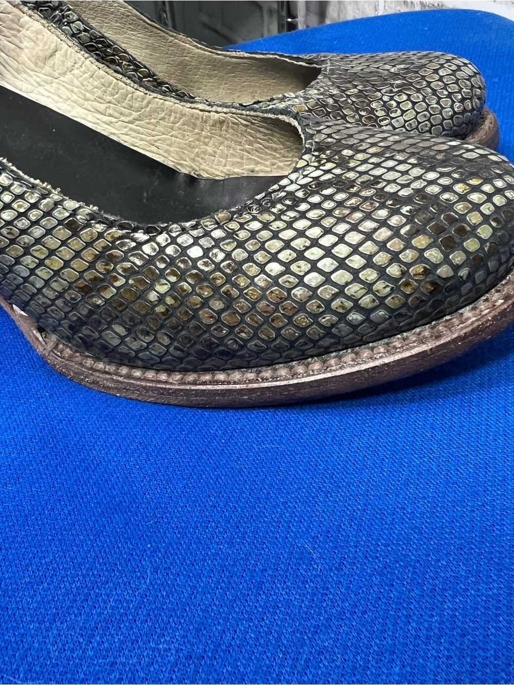 🚫🦅|•FREEBIRD BY STEVEN•| 'Randi' Pewter Snake Size 7-8 - Picture 14 of 14